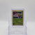 Shaymin — Promo #XY188 - LP