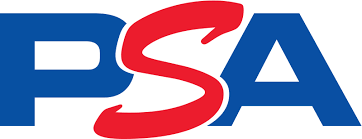 Grading Service (PSA Valued at $500)