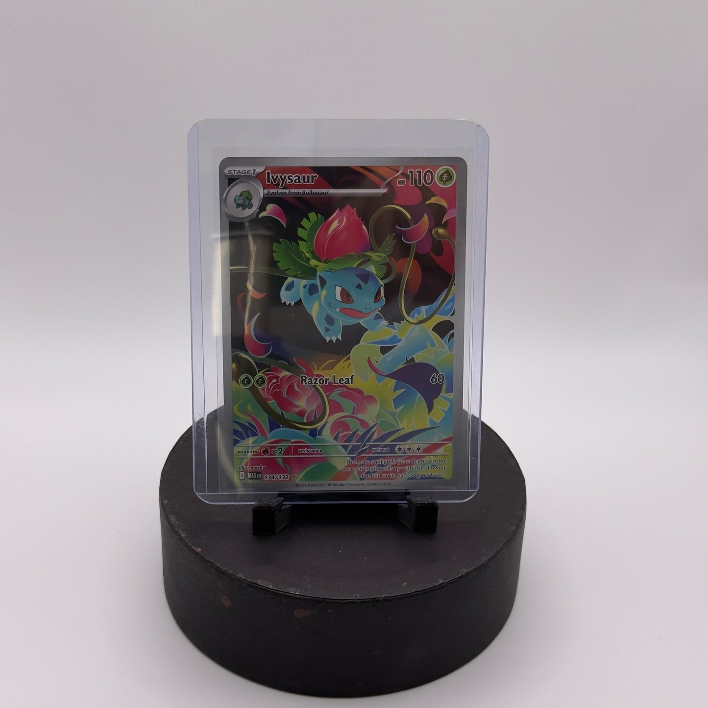 Ivysaur #134 Pokemon Mega Evolution