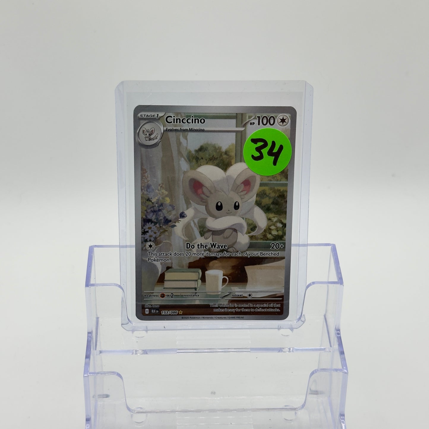 Cinccino IR