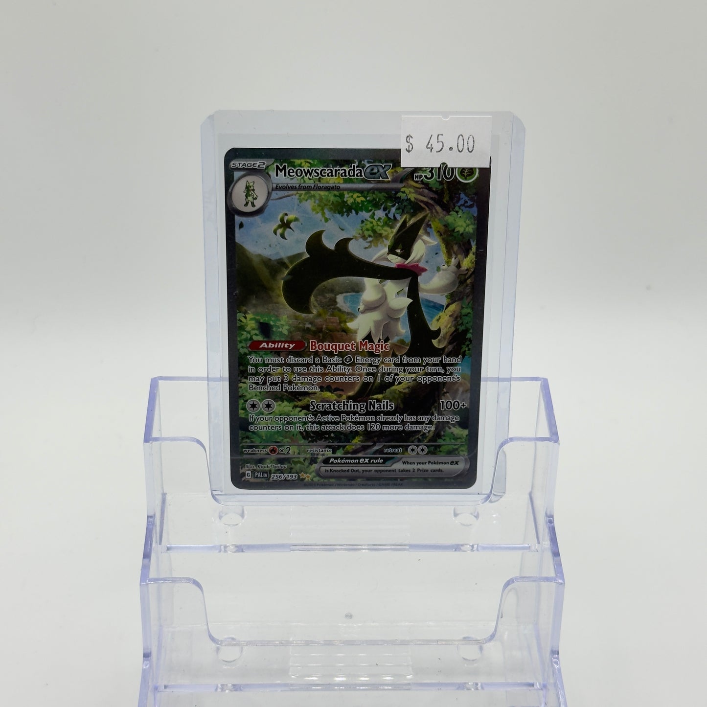 Sprigatito Full Evolution line