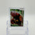 Ho-Oh Legend Card Top (LP)