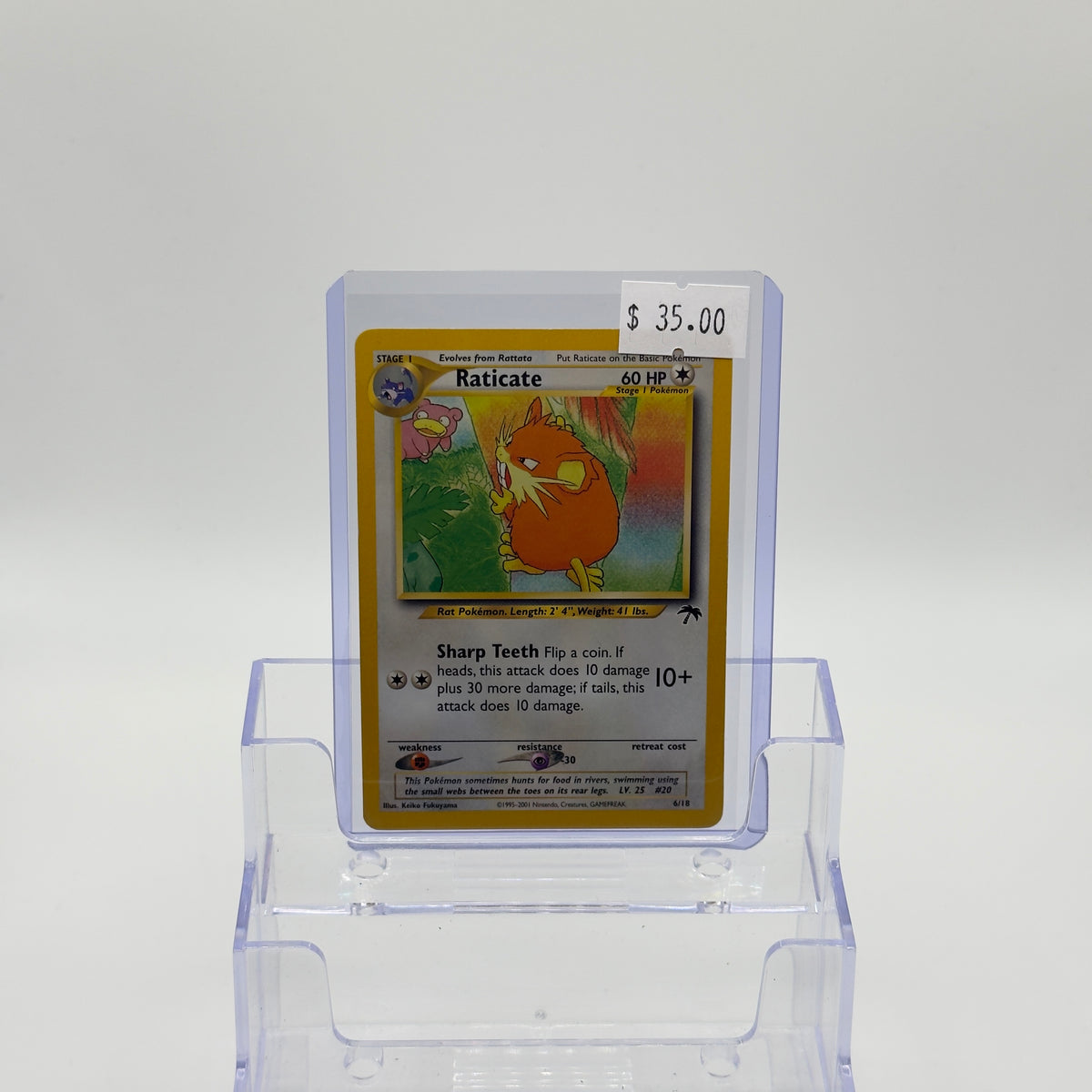 Raticate Southern Islands - LP