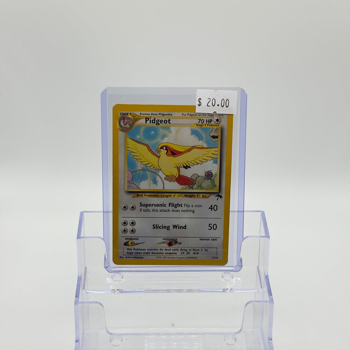 Pidgeot Southern Islands - HP