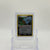 Shiftry — Holo #13/92 - NM