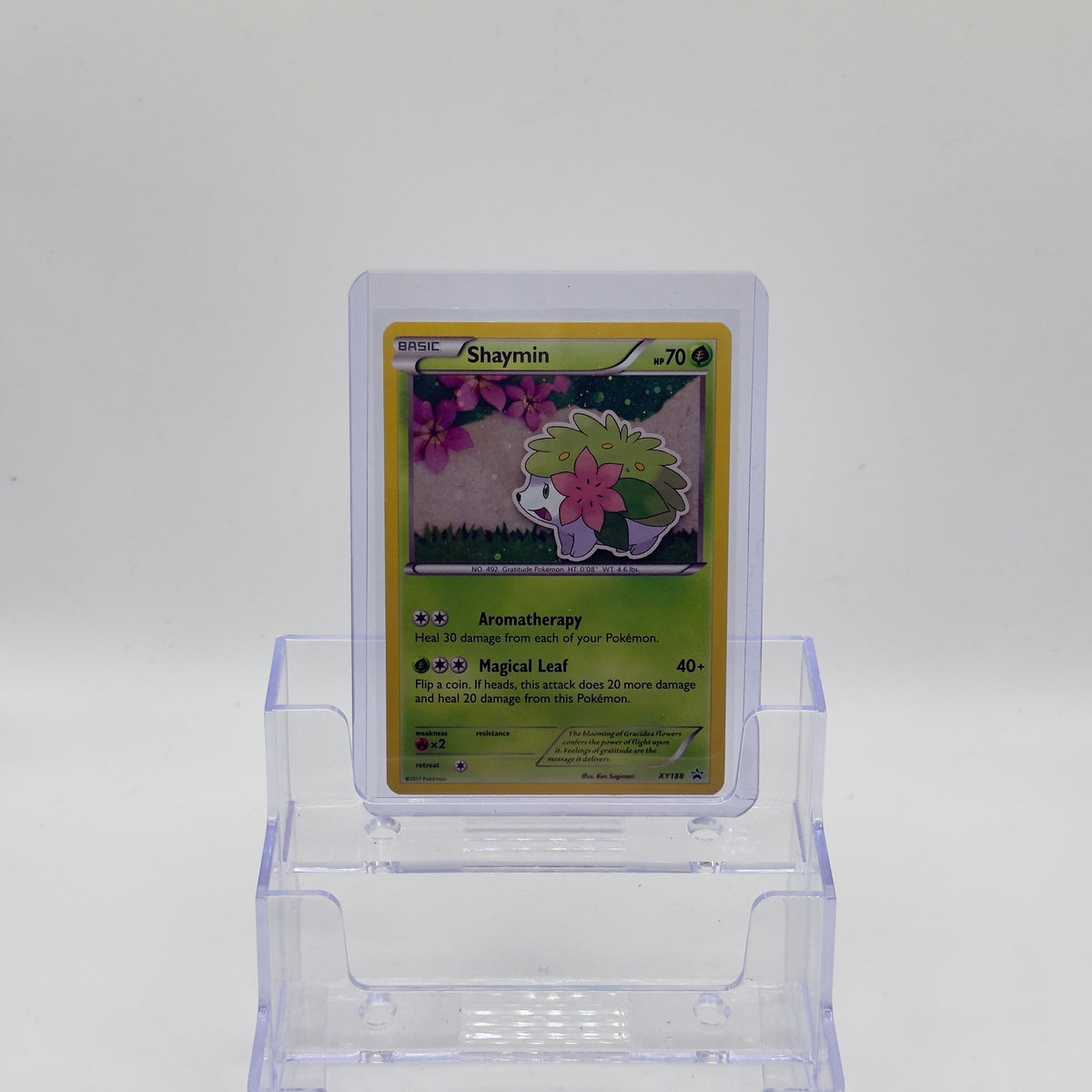 Shaymin — Promo #XY188 - LP