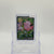 Lillie's Clefairy ex — Special Illustration Rare #184/159 - NM